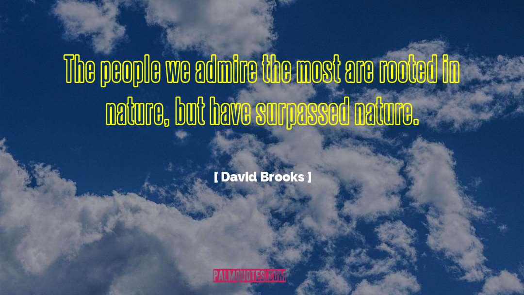 Nature Inspiration quotes by David Brooks