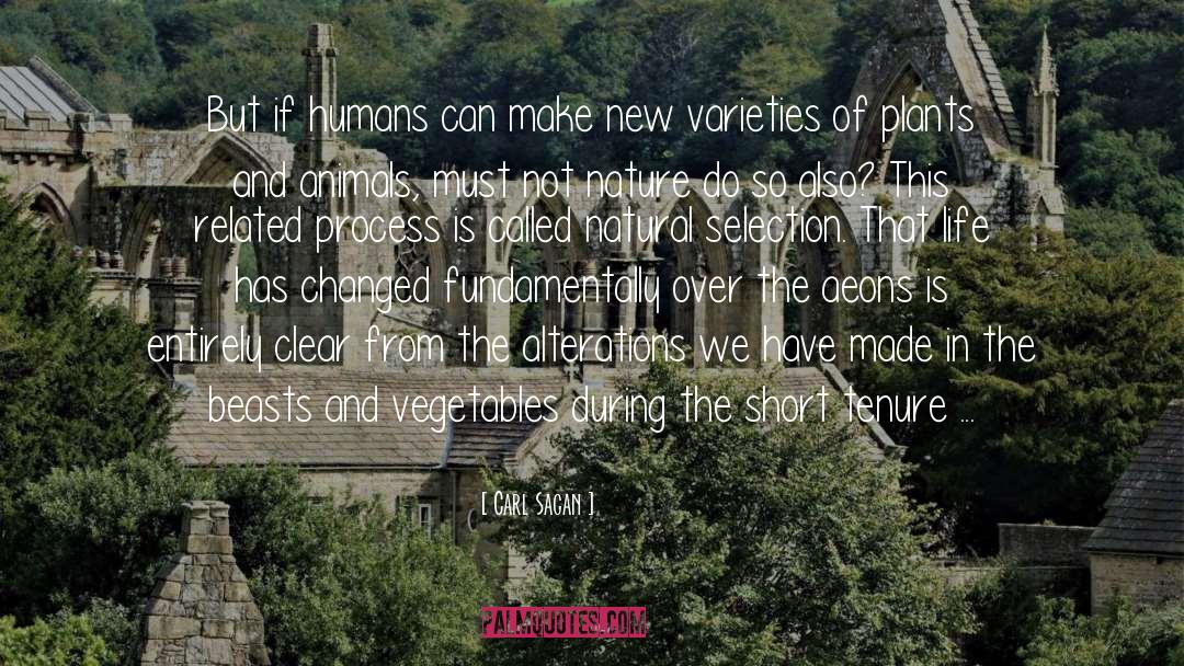Nature Intended quotes by Carl Sagan
