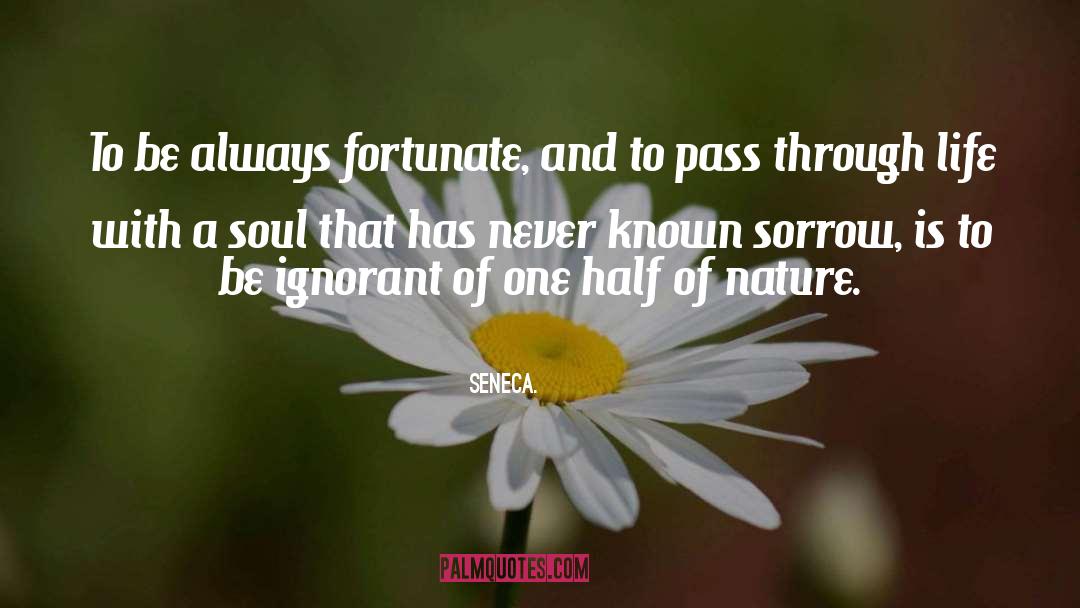 Nature Life quotes by Seneca.