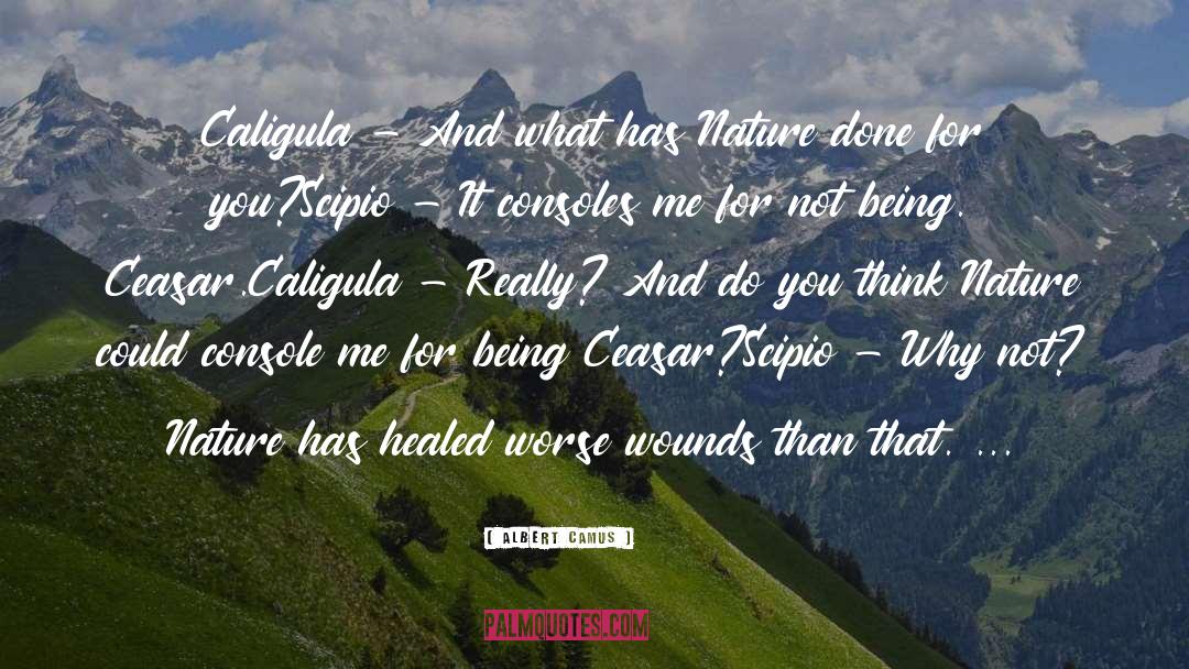 Nature Lover quotes by Albert Camus