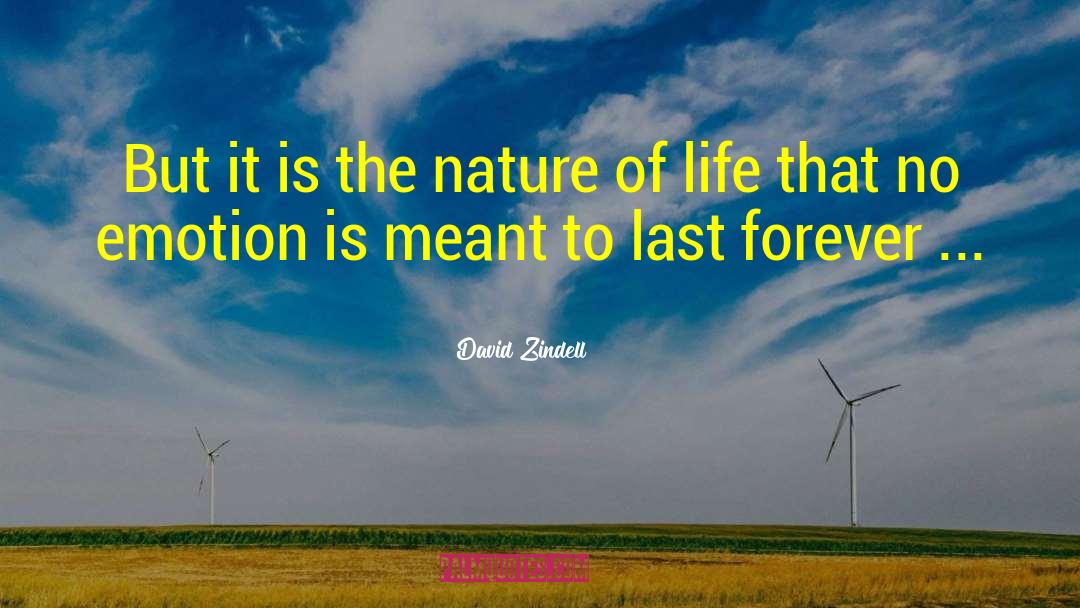 Nature Of Life quotes by David Zindell