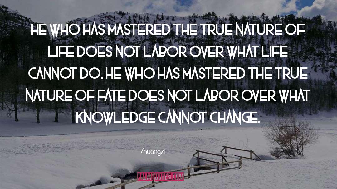 Nature Of Life quotes by Zhuangzi