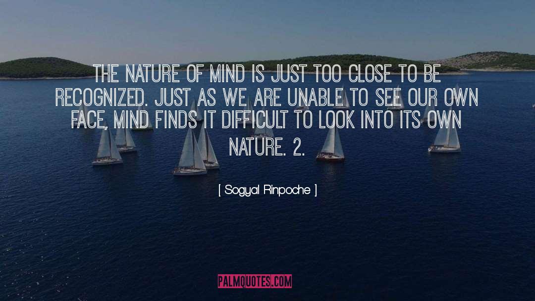 Nature Of Mind quotes by Sogyal Rinpoche