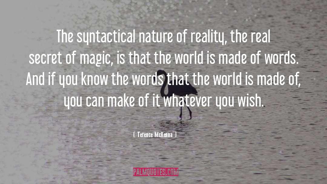 Nature Of Reality quotes by Terence McKenna