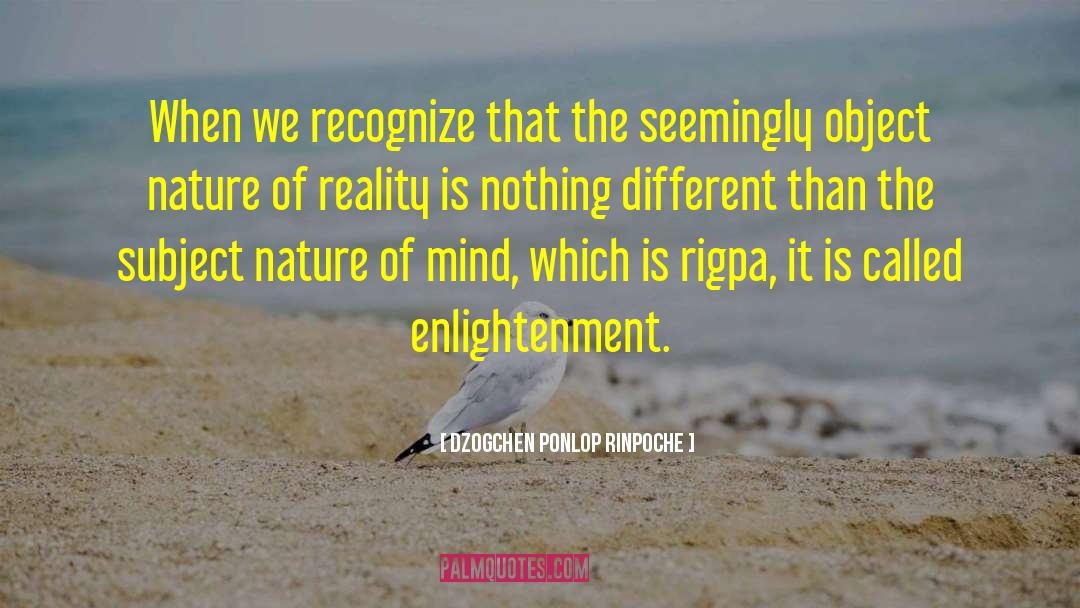 Nature Of Reality quotes by Dzogchen Ponlop Rinpoche