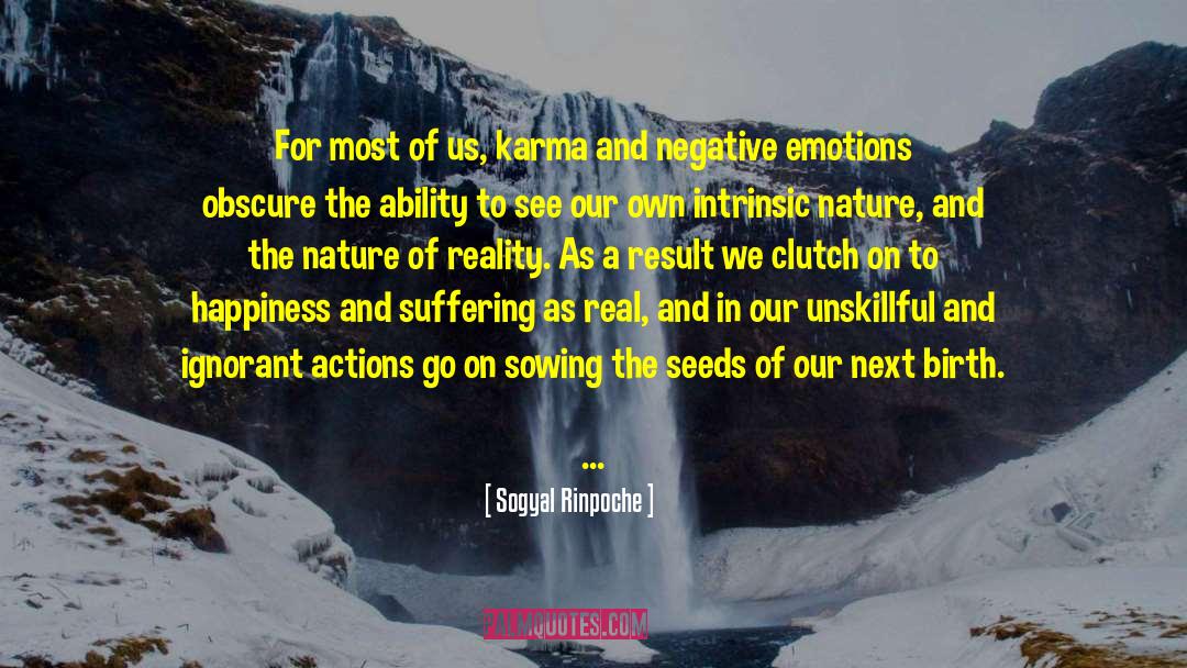 Nature Of Reality quotes by Sogyal Rinpoche