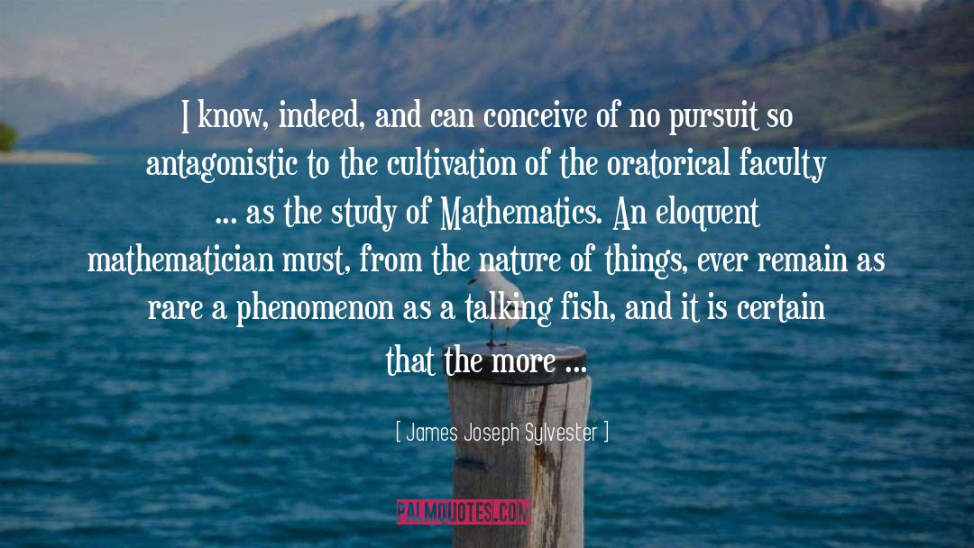 Nature Of Things quotes by James Joseph Sylvester