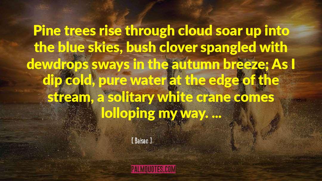 Nature Poem quotes by Baisao