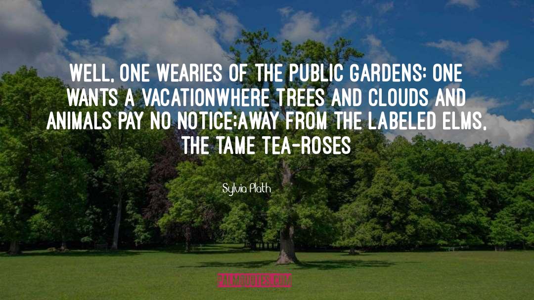 Nature Poetry quotes by Sylvia Plath