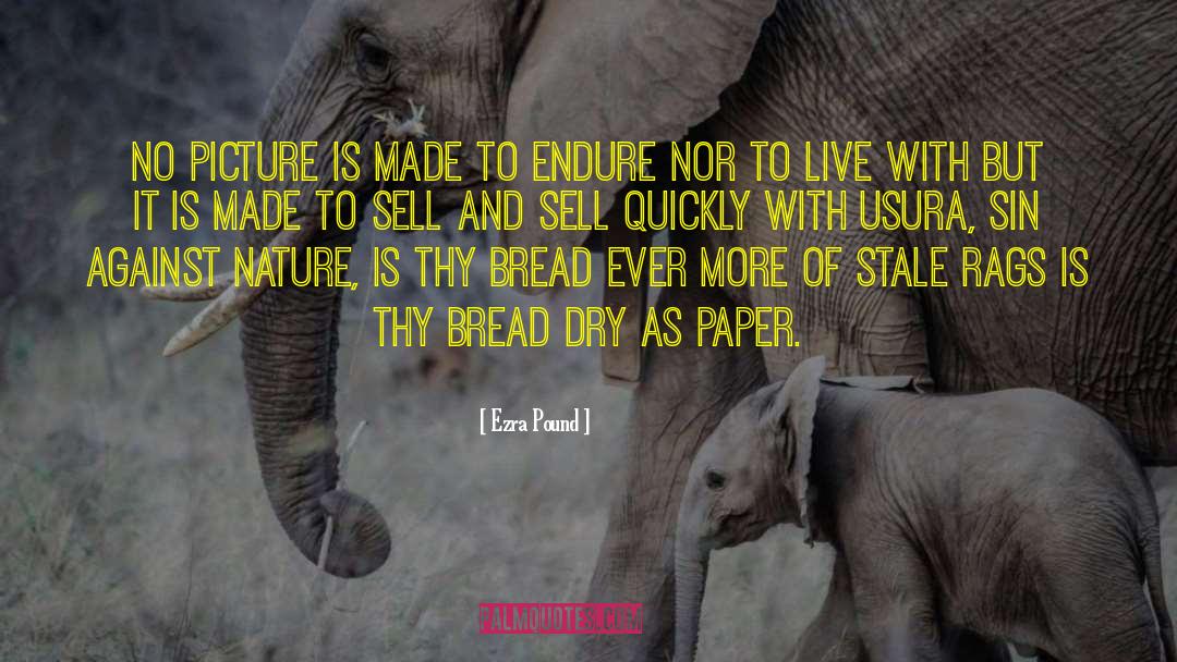 Nature Preserve quotes by Ezra Pound