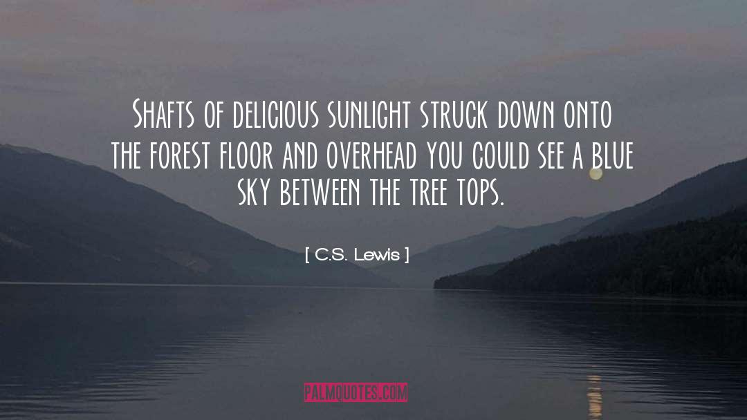 Nature S Doing quotes by C.S. Lewis