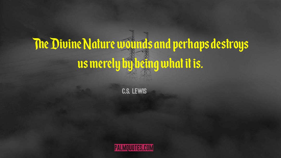 Nature S Fury quotes by C.S. Lewis