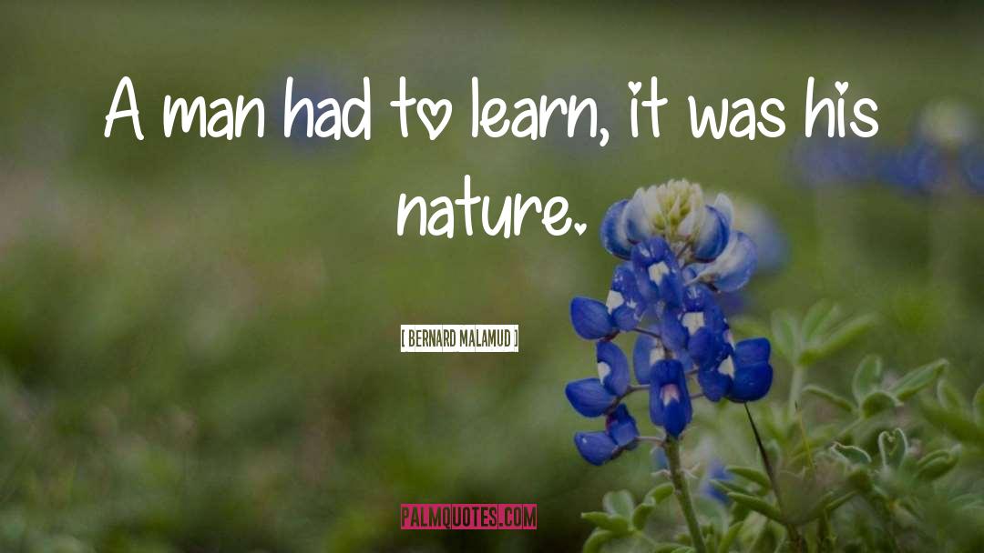 Nature Touch quotes by Bernard Malamud