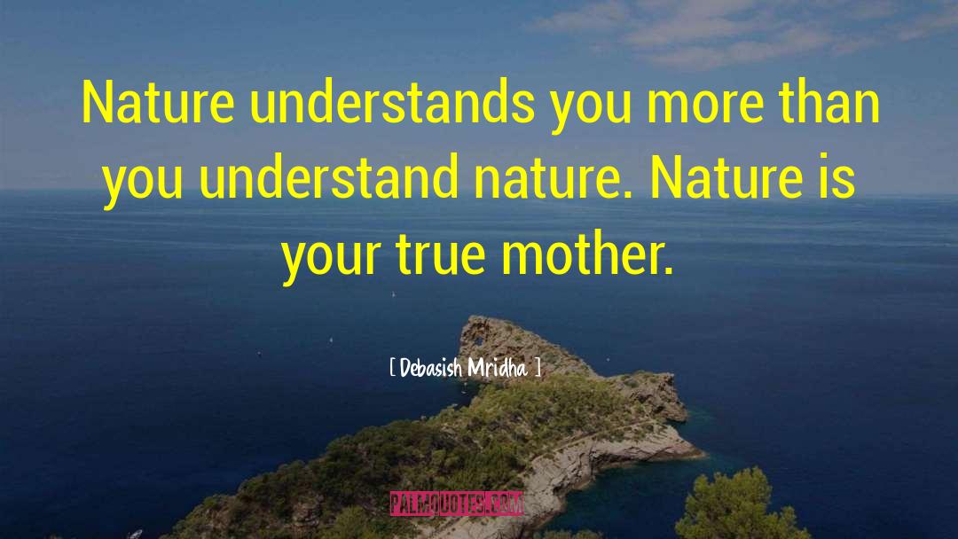 Nature Understands quotes by Debasish Mridha