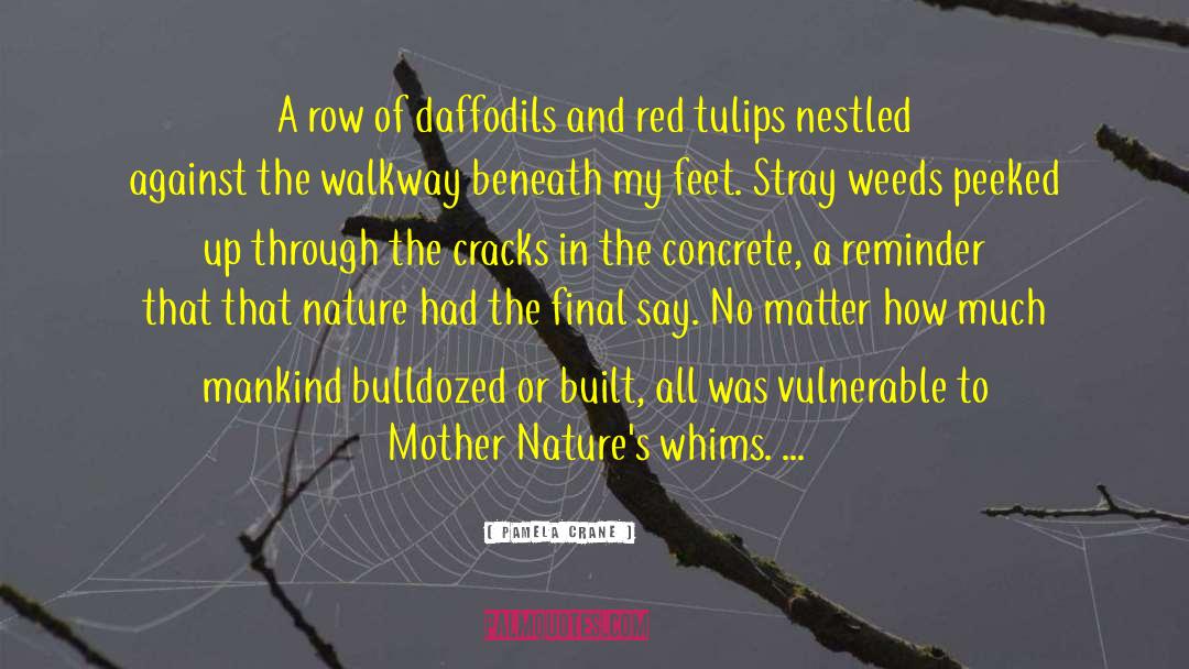 Nature Wins quotes by Pamela Crane