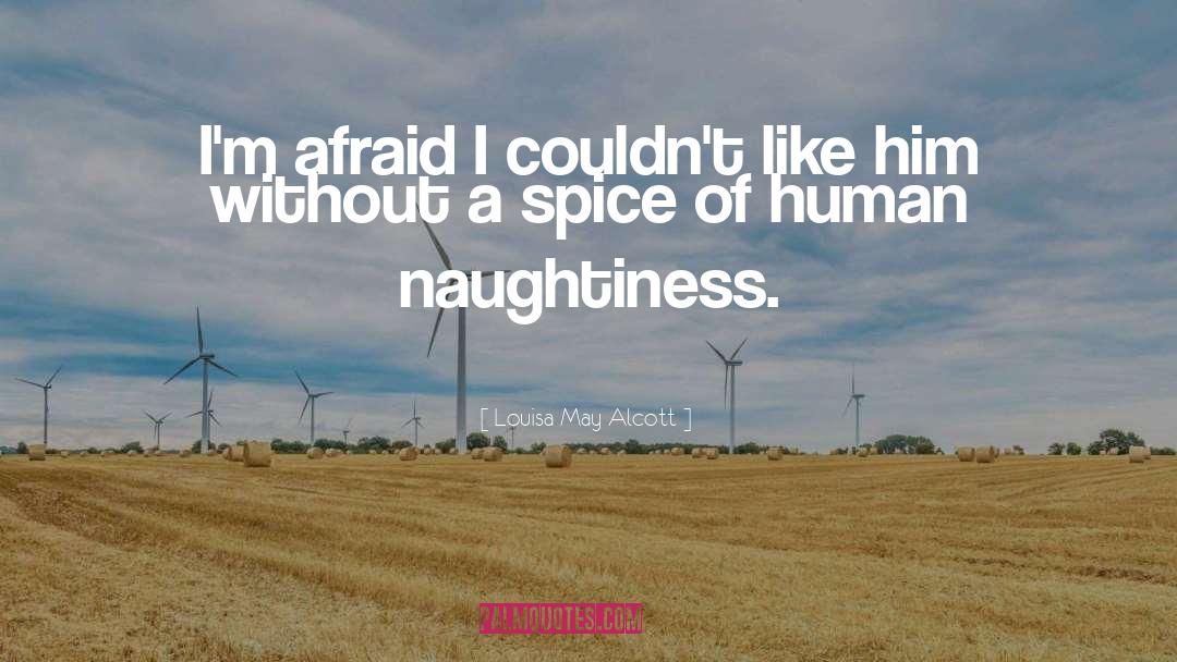 Naughtiness quotes by Louisa May Alcott