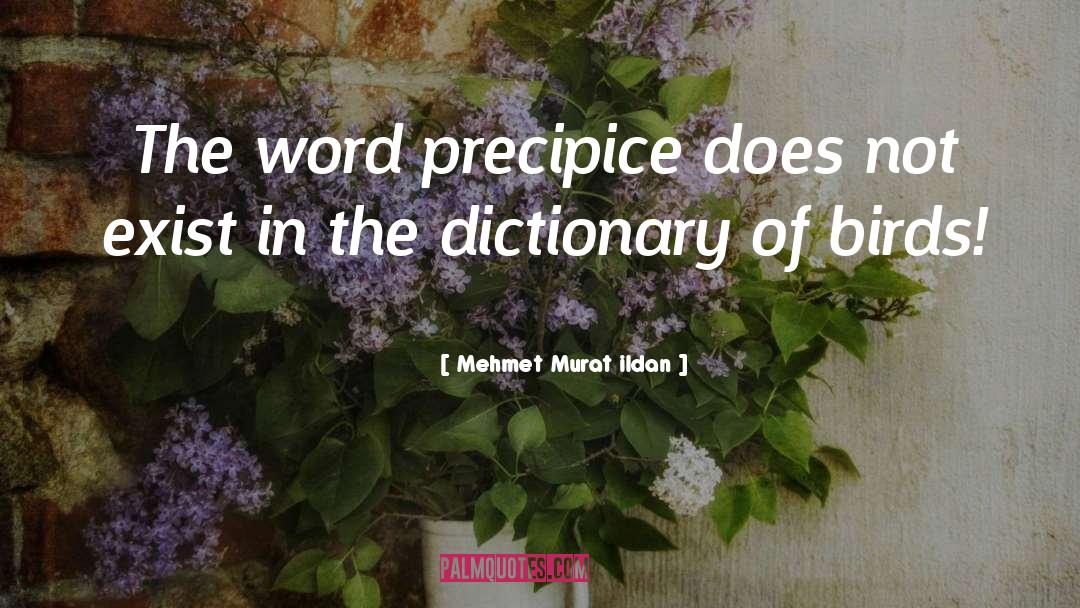 Nauseam Dictionary quotes by Mehmet Murat Ildan