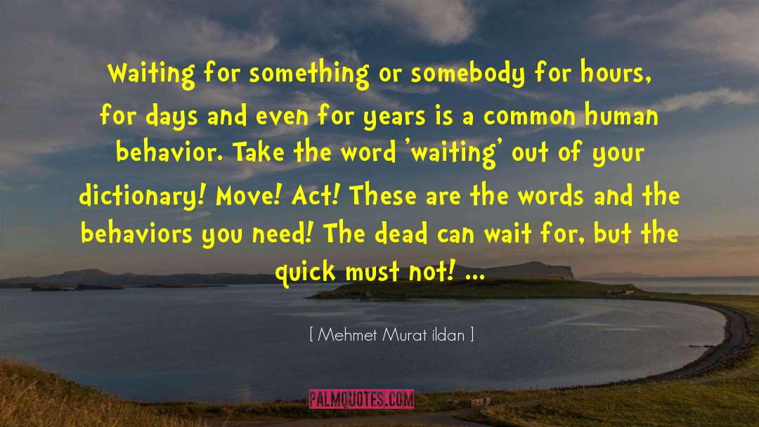 Nauseam Dictionary quotes by Mehmet Murat Ildan