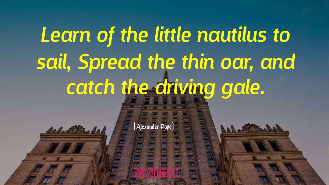 Nautilus quotes by Alexander Pope