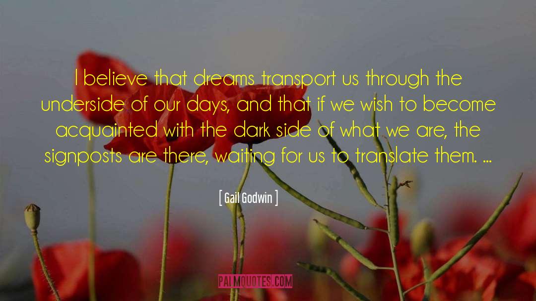 Navata Transport quotes by Gail Godwin