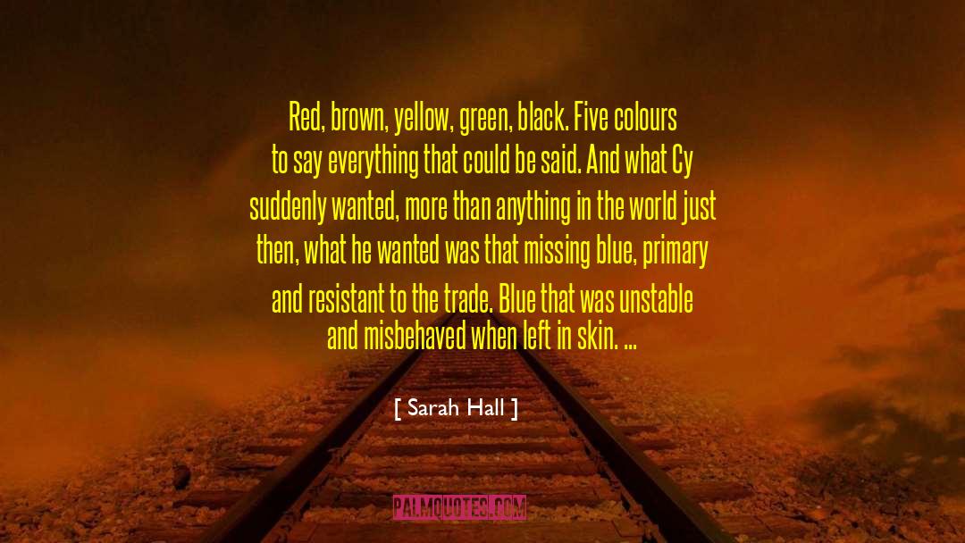 Navy Blue quotes by Sarah Hall