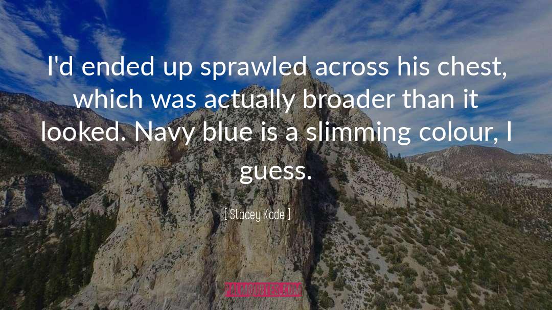 Navy Blue quotes by Stacey Kade