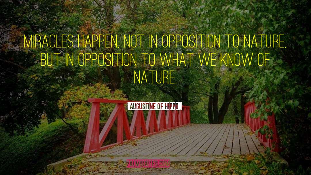 Nazi Opposition quotes by Augustine Of Hippo