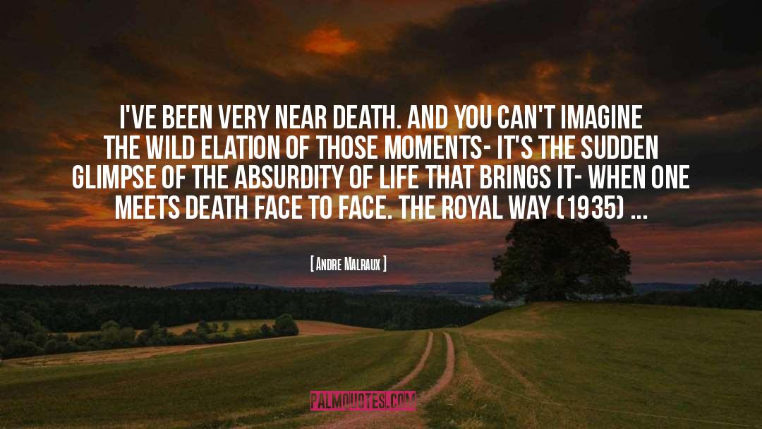 Near Death quotes by Andre Malraux