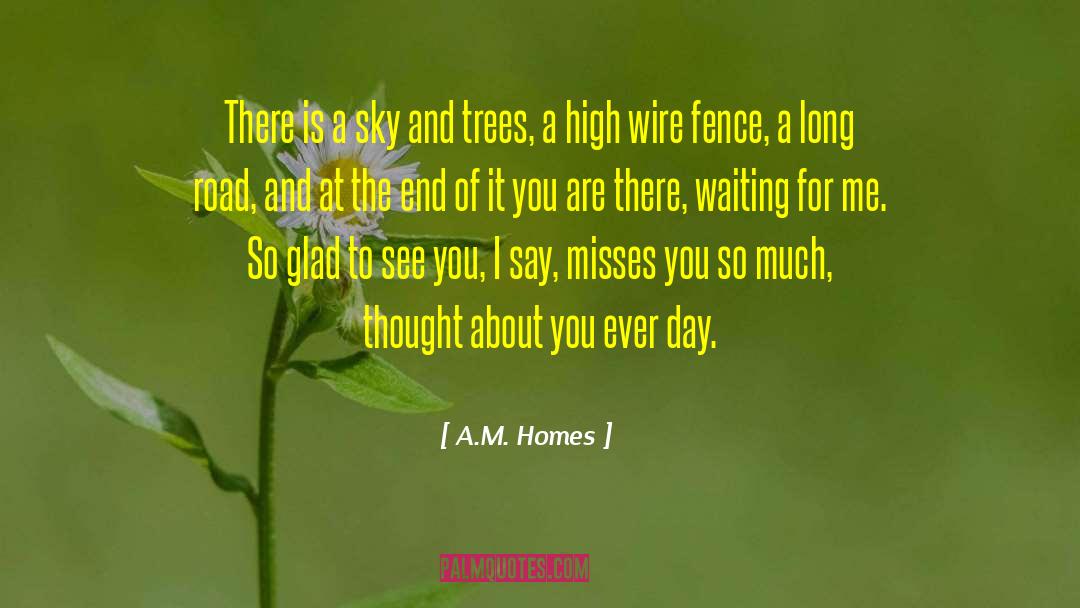Near Misses quotes by A.M. Homes