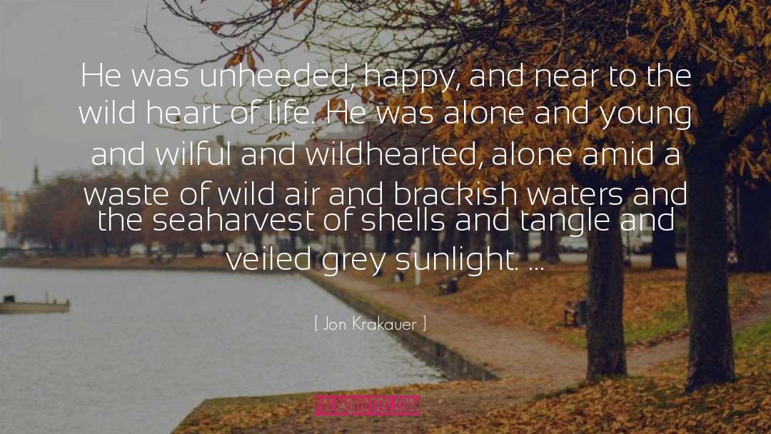 Near To The Wild Heart quotes by Jon Krakauer