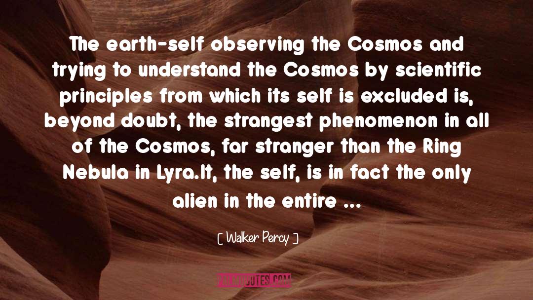 Nebula quotes by Walker Percy