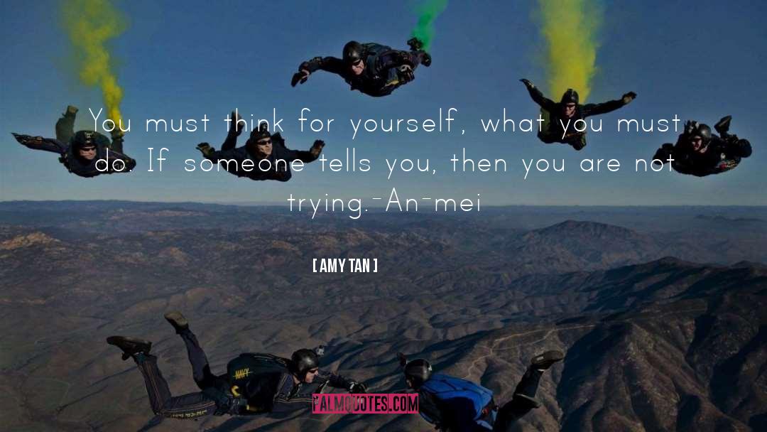 Nebunii Mei quotes by Amy Tan