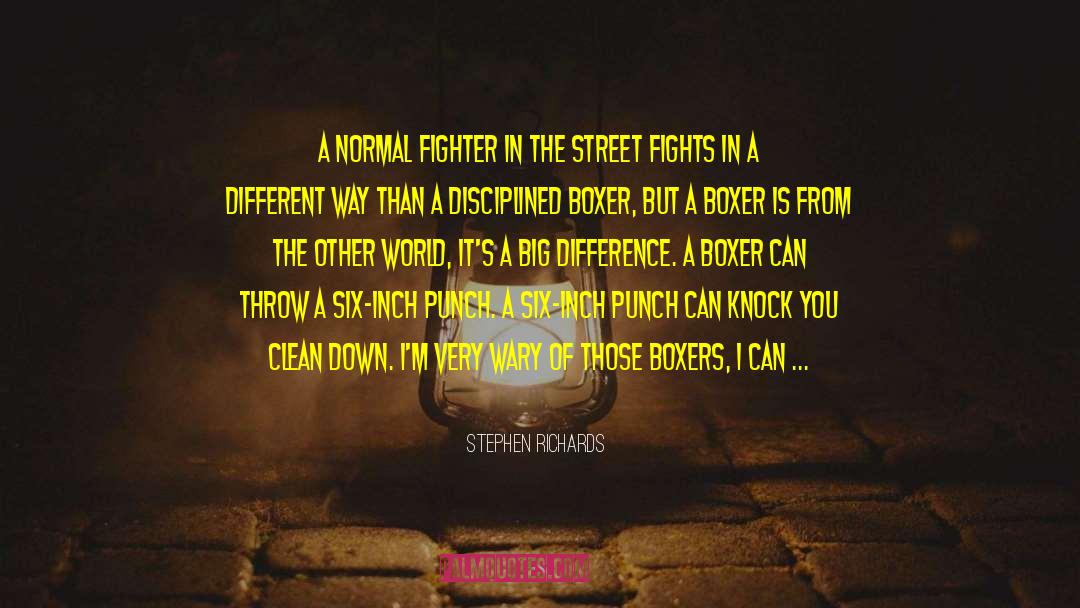 Necro Street Fighter quotes by Stephen Richards