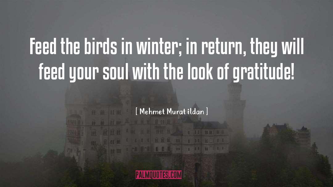 Nectar In Your Soul quotes by Mehmet Murat Ildan