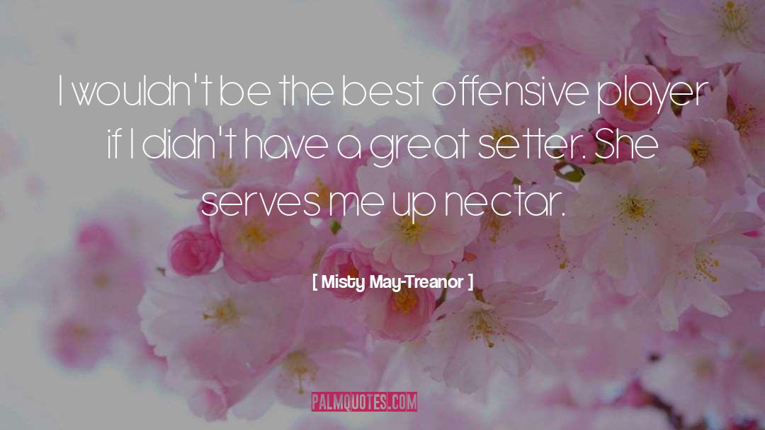 Nectar quotes by Misty May-Treanor