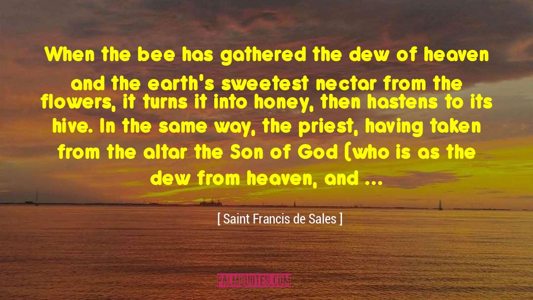 Nectar quotes by Saint Francis De Sales