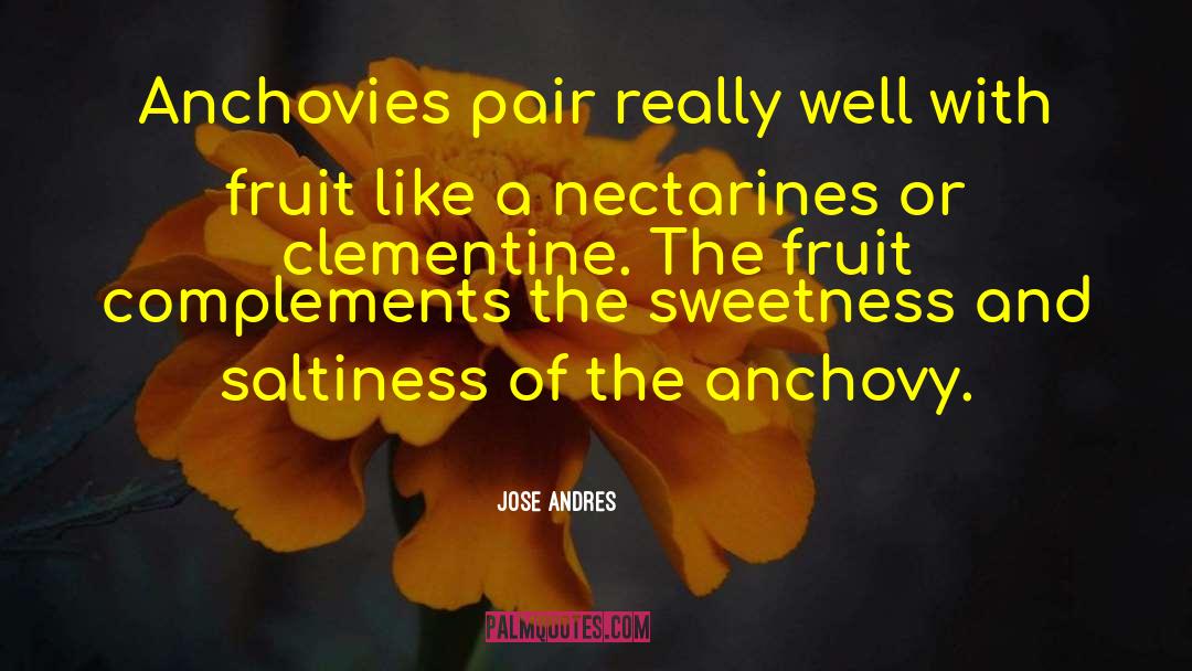 Nectarines quotes by Jose Andres