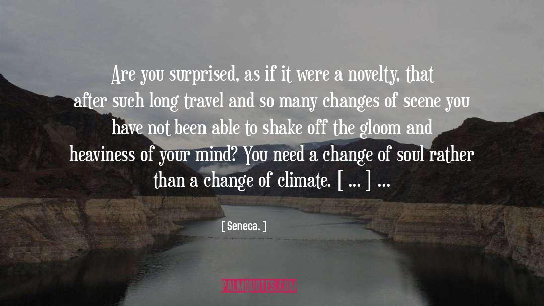 Need A Vacation quotes by Seneca.