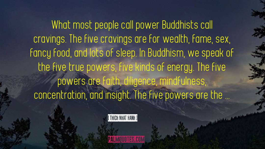 Need For Power quotes by Thich Nhat Hanh