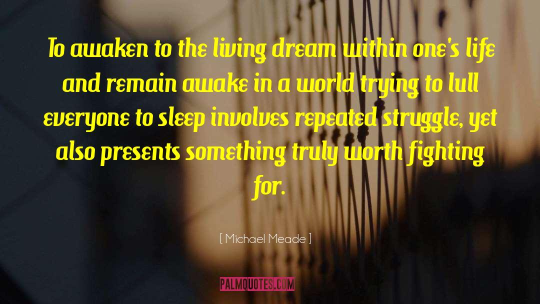 Need Sleep quotes by Michael Meade