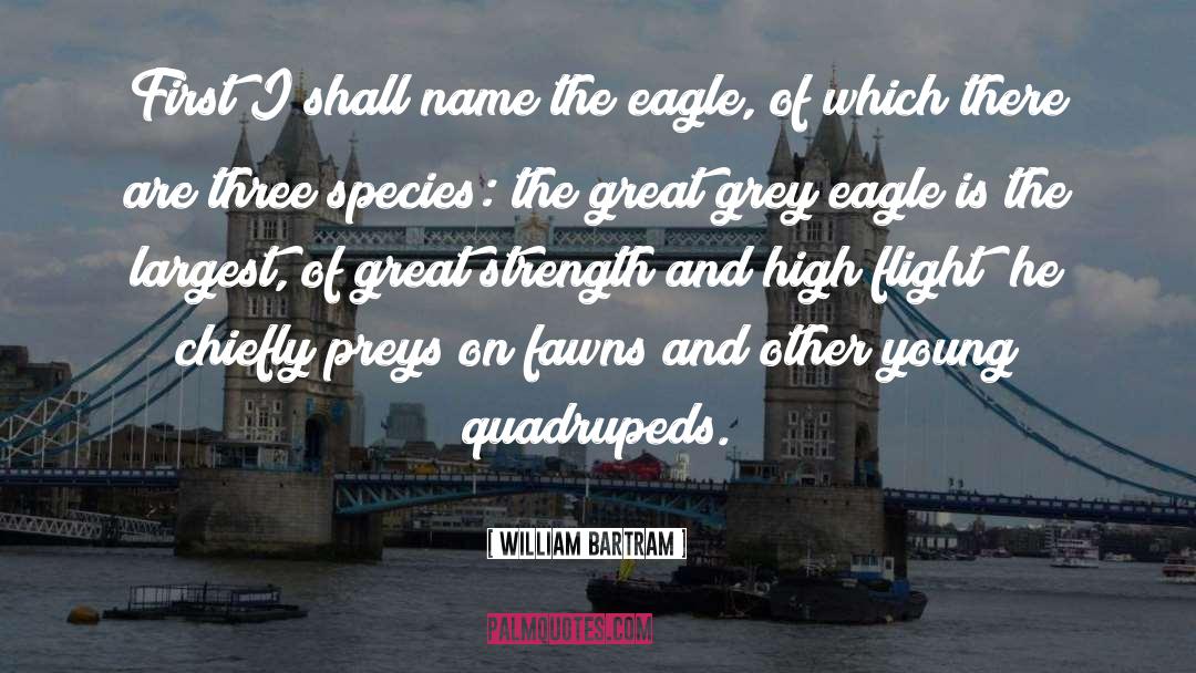 Need Strength quotes by William Bartram