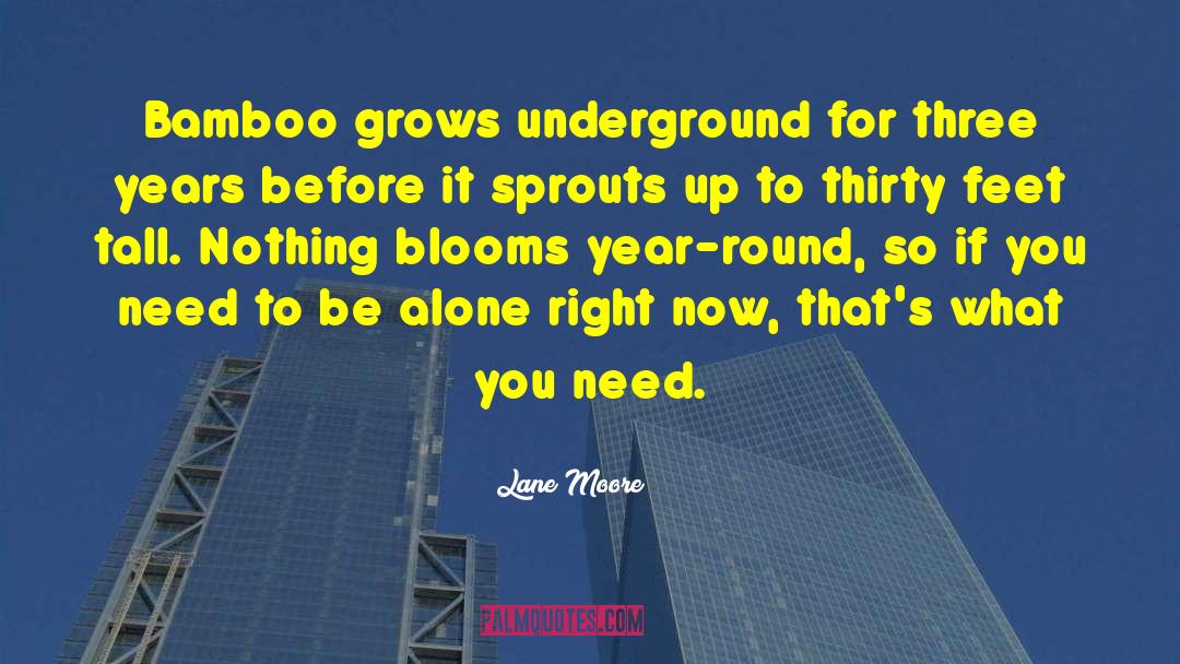 Need To Be Alone quotes by Lane Moore