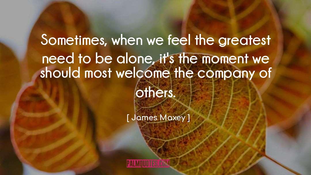 Need To Be Alone quotes by James Maxey