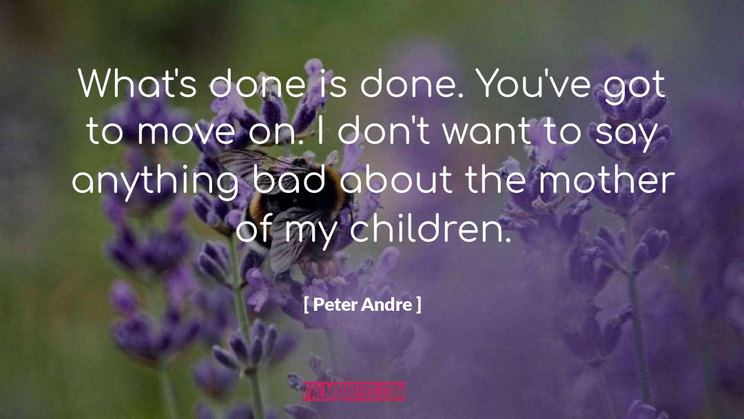 Need To Move On quotes by Peter Andre