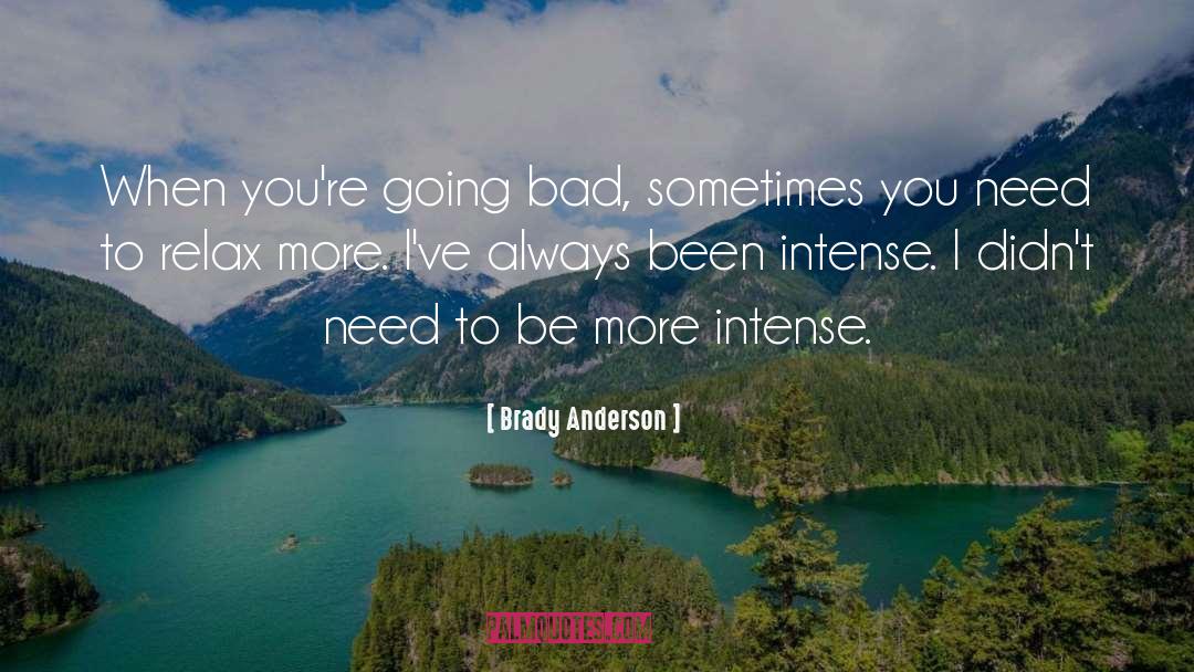 Need To Relax quotes by Brady Anderson