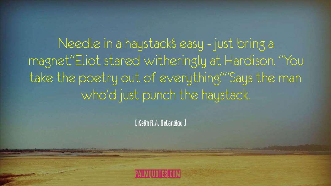 Needle In A Haystack quotes by Keith R.A. DeCandido