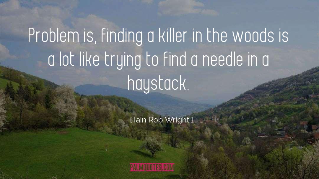 Needle In A Haystack quotes by Iain Rob Wright