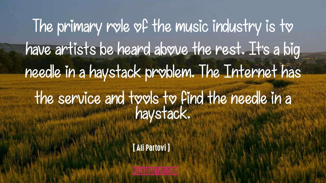 Needle In A Haystack quotes by Ali Partovi