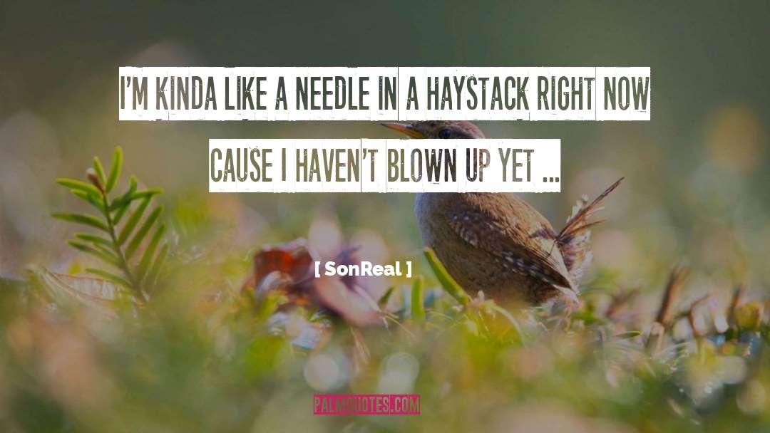 Needle In A Haystack quotes by SonReal