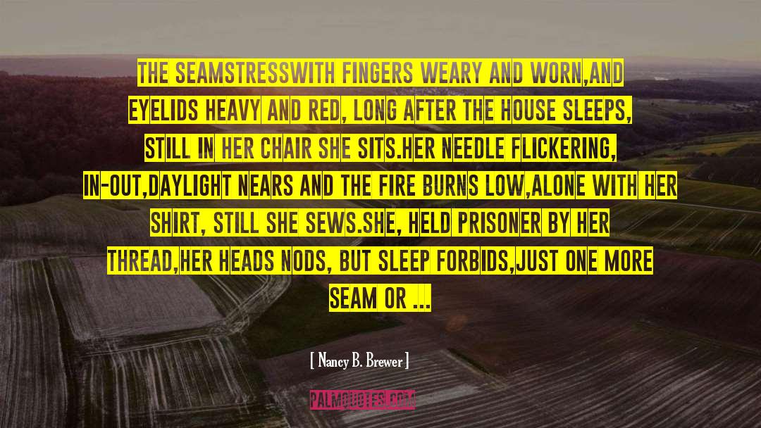 Needle In Haystack quotes by Nancy B. Brewer